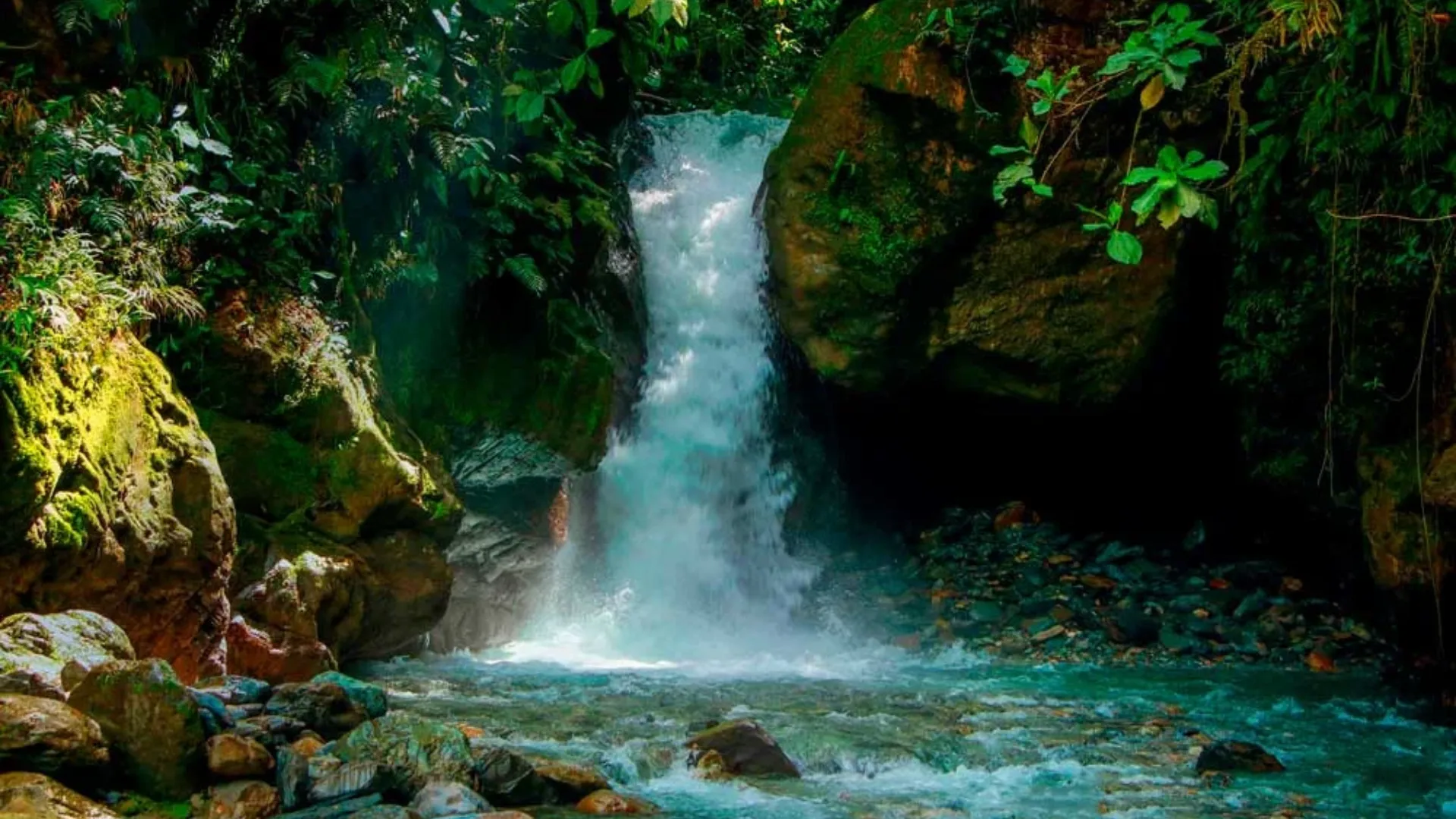 Expedition to La Golondrina