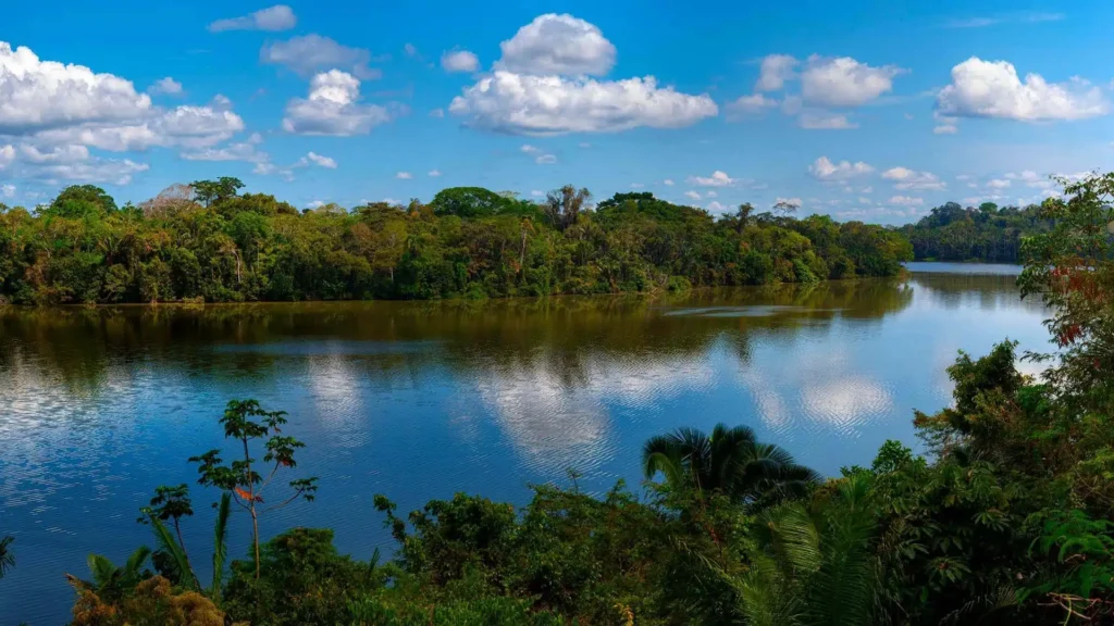 The Heart of the Amazon: Tambopata and the Mirror of Lake Sandoval