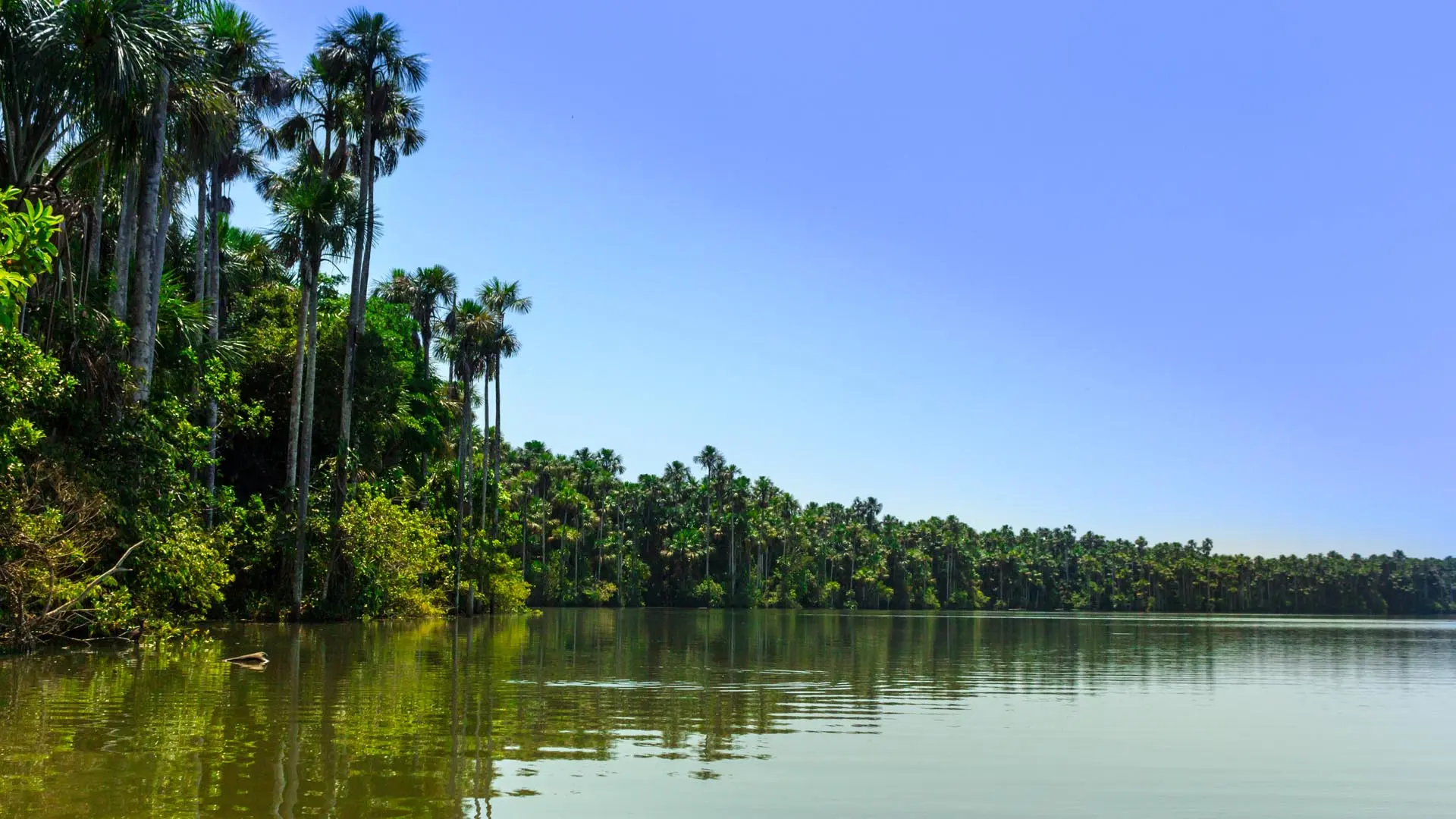 Exploring Lake Sandoval