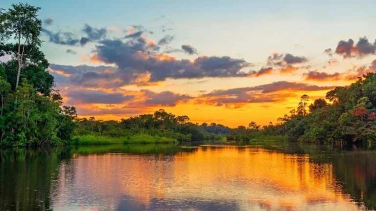 Manu National Park: The Amazon’s Noah’s Ark