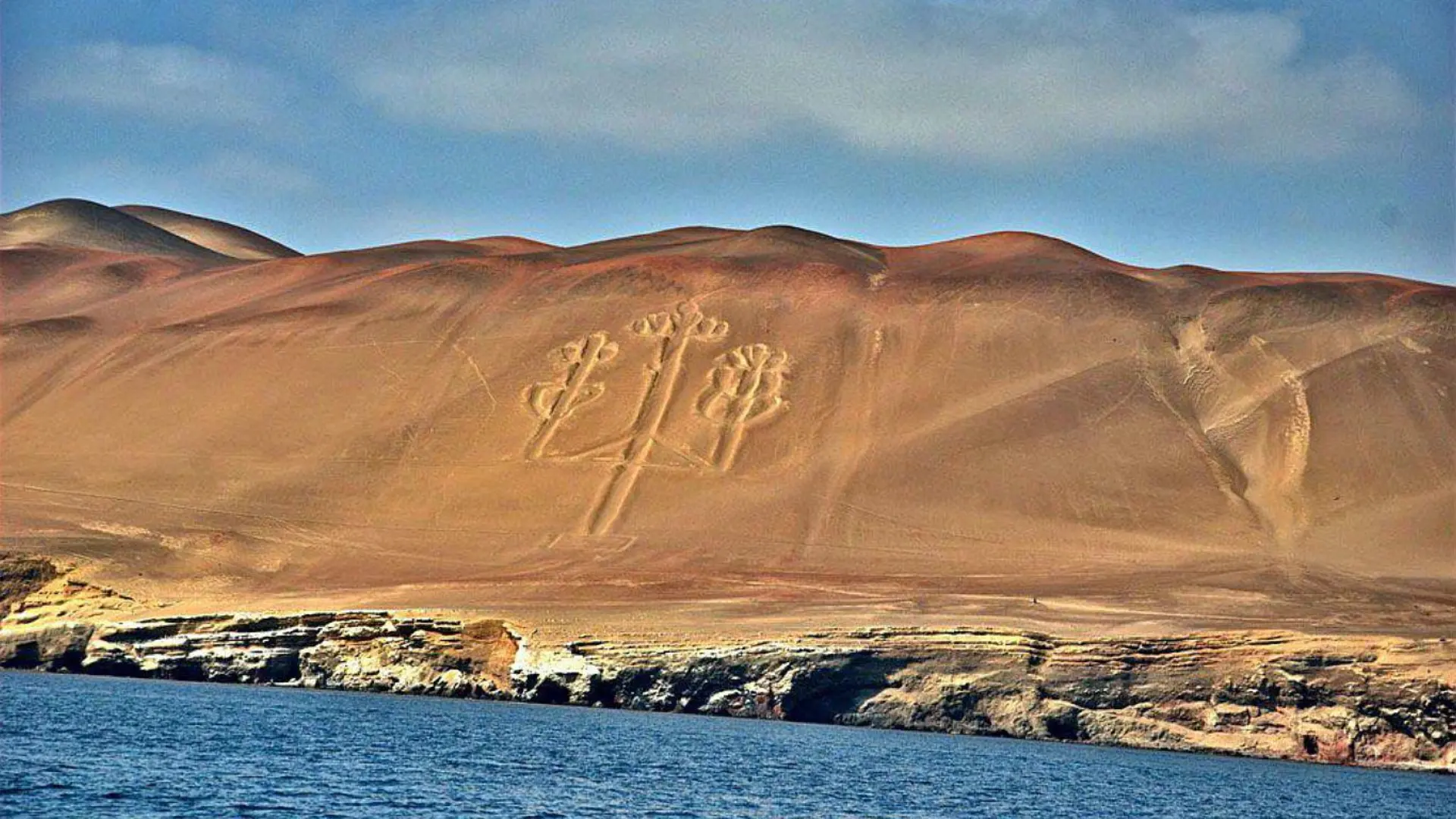The Candelabro and the Fauna of the Pacific (Paracas)