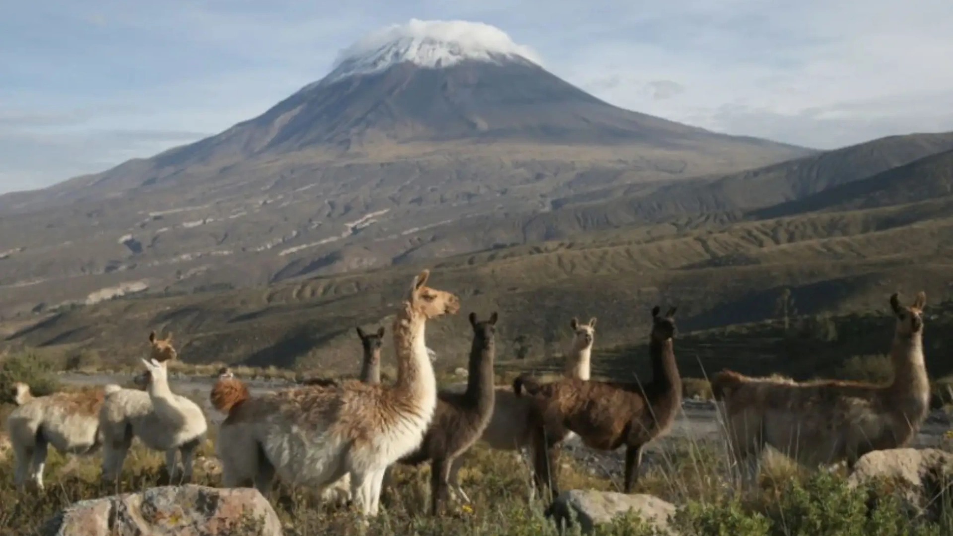 Deep into the Colca (Agua Blanca)
