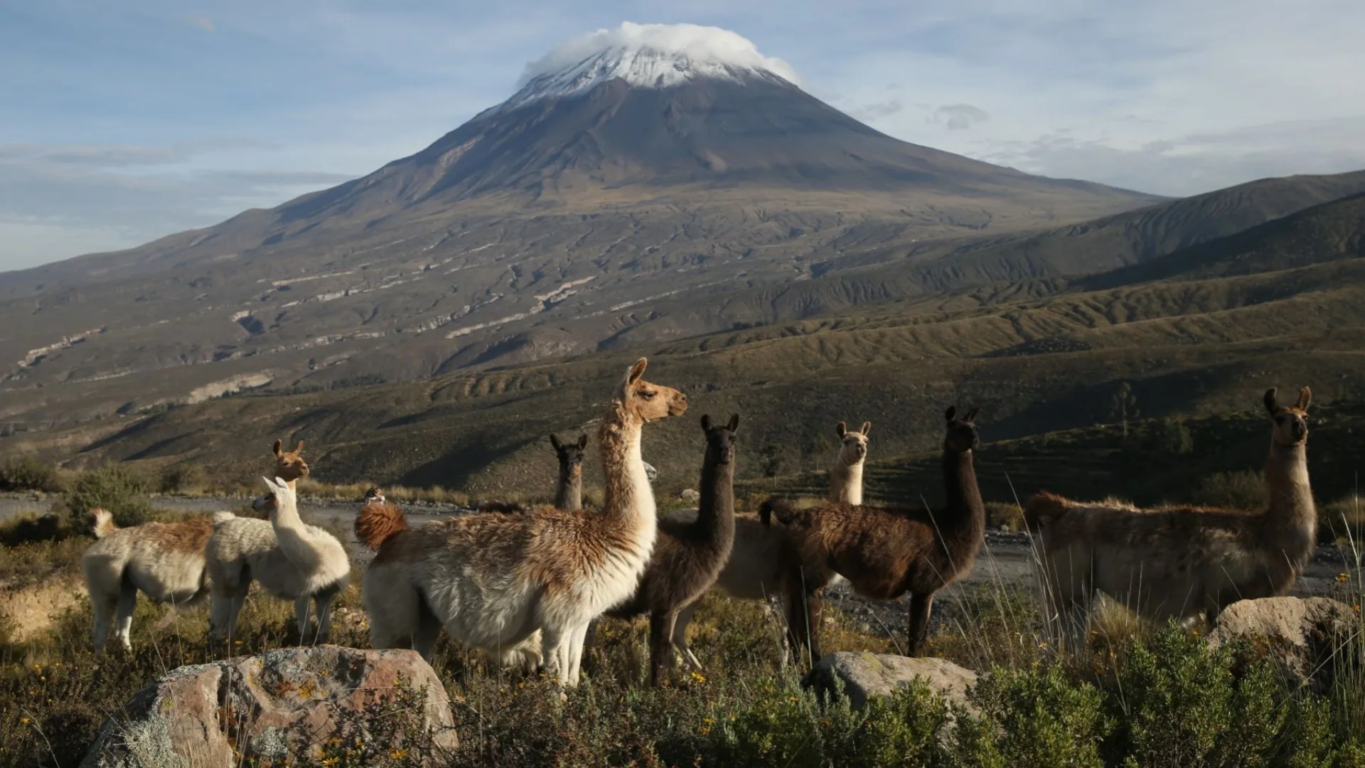 Into the Depths of Colca (Agua Blanca)