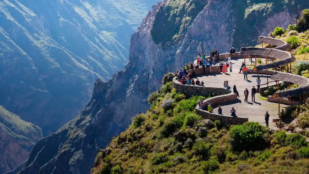 Andean condor flying over the Colca Canyon in Arequipa Peru